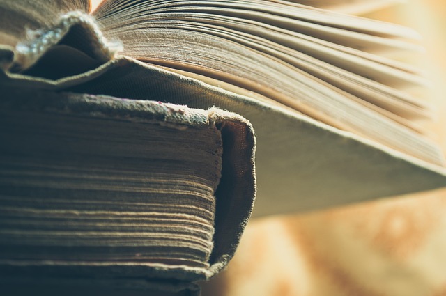 갈바니 전기의 발견과 잘못된 해석